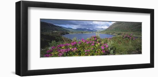 Landscape in Killarney National Park, County Kerry, Munster, Ireland-null-Framed Art Print