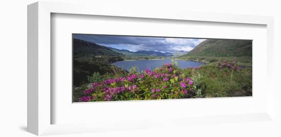 Landscape in Killarney National Park, County Kerry, Munster, Ireland-null-Framed Art Print