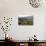 Landscape in Powys, Wales, United Kingdom, Europe-Rob Cousins-Photographic Print displayed on a wall