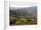 Landscape in Powys, Wales, United Kingdom, Europe-Rob Cousins-Framed Photographic Print