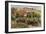 Landscape in Provence, C. 1900-Pierre-Auguste Renoir-Framed Giclee Print