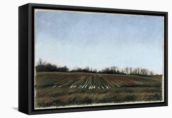 Landscape in South Tennessee, c.1998-Helen J. Vaughn-Framed Premier Image Canvas