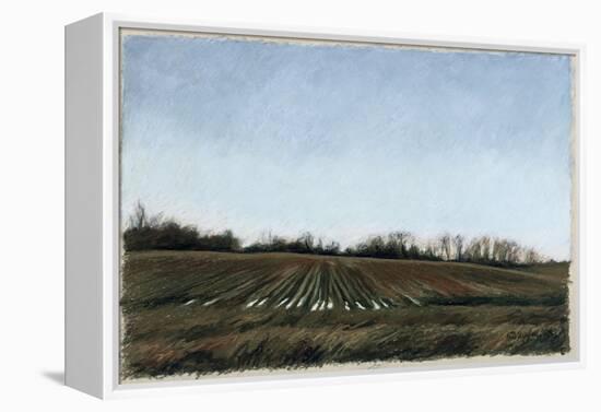 Landscape in South Tennessee, c.1998-Helen J. Vaughn-Framed Premier Image Canvas