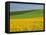 Landscape in Spring with Oil Seed Rape Field in Flower Near Marcilly Le Hayer, Aube, France-Michael Busselle-Framed Premier Image Canvas