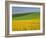 Landscape in Spring with Oil Seed Rape Field in Flower Near Marcilly Le Hayer, Aube, France-Michael Busselle-Framed Photographic Print