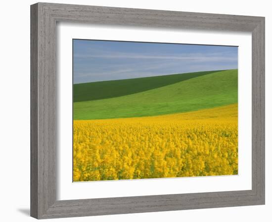 Landscape in Spring with Oil Seed Rape Field in Flower Near Marcilly Le Hayer, Aube, France-Michael Busselle-Framed Photographic Print