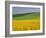 Landscape in Spring with Oil Seed Rape Field in Flower Near Marcilly Le Hayer, Aube, France-Michael Busselle-Framed Photographic Print