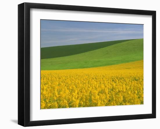 Landscape in Spring with Oil Seed Rape Field in Flower Near Marcilly Le Hayer, Aube, France-Michael Busselle-Framed Photographic Print