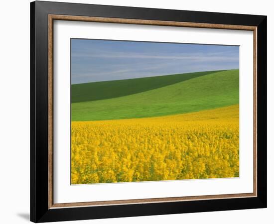 Landscape in Spring with Oil Seed Rape Field in Flower Near Marcilly Le Hayer, Aube, France-Michael Busselle-Framed Photographic Print