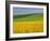 Landscape in Spring with Oil Seed Rape Field in Flower Near Marcilly Le Hayer, Aube, France-Michael Busselle-Framed Photographic Print