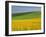 Landscape in Spring with Oil Seed Rape Field in Flower Near Marcilly Le Hayer, Aube, France-Michael Busselle-Framed Photographic Print