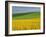 Landscape in Spring with Oil Seed Rape Field in Flower Near Marcilly Le Hayer, Aube, France-Michael Busselle-Framed Photographic Print