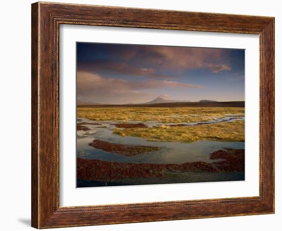 Landscape in the Isluga Area of the Atacama Desert, Chile, South America-Mcleod Rob-Framed Photographic Print