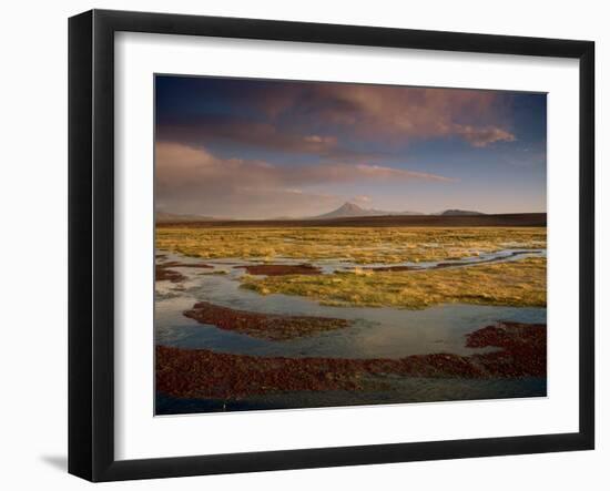 Landscape in the Isluga Area of the Atacama Desert, Chile, South America-Mcleod Rob-Framed Photographic Print