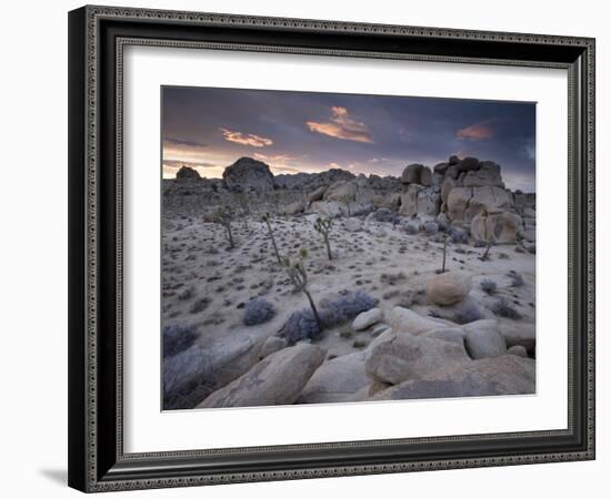 Landscape, Joshua Tree National Park, California, United States of America, North America-Colin Brynn-Framed Photographic Print