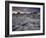 Landscape, Joshua Tree National Park, California, United States of America, North America-Colin Brynn-Framed Photographic Print