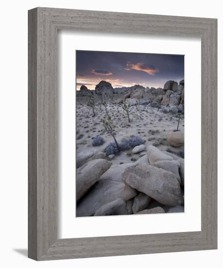 Landscape, Joshua Tree National Park, California, United States of America, North America-Colin Brynn-Framed Photographic Print