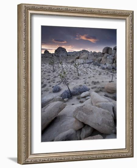 Landscape, Joshua Tree National Park, California, United States of America, North America-Colin Brynn-Framed Photographic Print