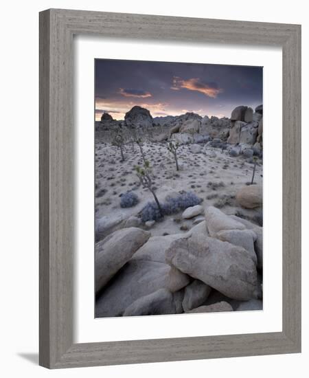 Landscape, Joshua Tree National Park, California, United States of America, North America-Colin Brynn-Framed Photographic Print