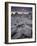 Landscape, Joshua Tree National Park, California, United States of America, North America-Colin Brynn-Framed Photographic Print