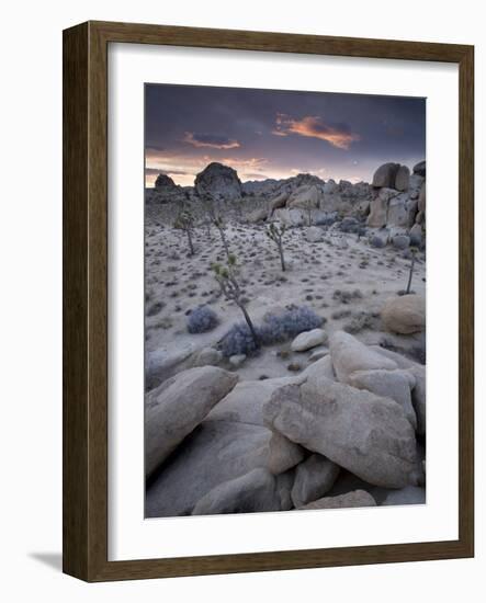 Landscape, Joshua Tree National Park, California, United States of America, North America-Colin Brynn-Framed Photographic Print