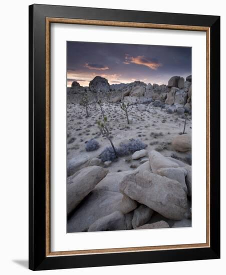 Landscape, Joshua Tree National Park, California, United States of America, North America-Colin Brynn-Framed Photographic Print