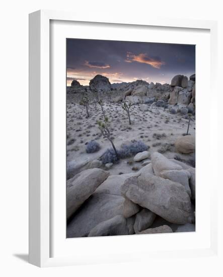 Landscape, Joshua Tree National Park, California, United States of America, North America-Colin Brynn-Framed Photographic Print