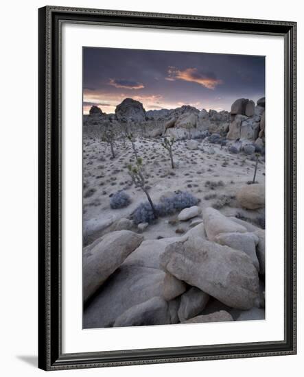 Landscape, Joshua Tree National Park, California, United States of America, North America-Colin Brynn-Framed Photographic Print