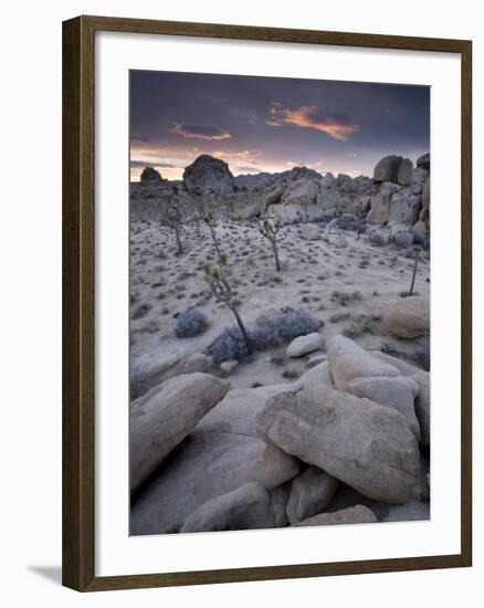 Landscape, Joshua Tree National Park, California, United States of America, North America-Colin Brynn-Framed Photographic Print