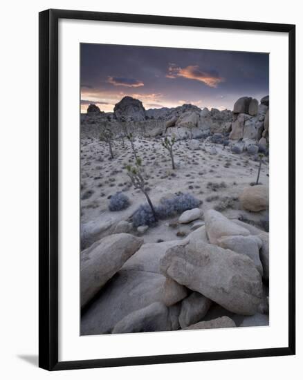 Landscape, Joshua Tree National Park, California, United States of America, North America-Colin Brynn-Framed Photographic Print