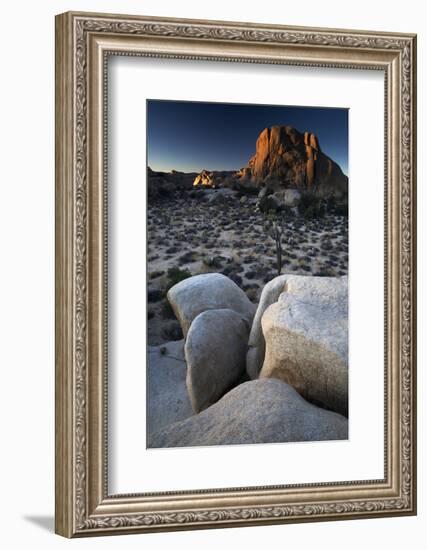 Landscape, Joshua Tree National Park, California, United States of America, North America-Colin Brynn-Framed Photographic Print