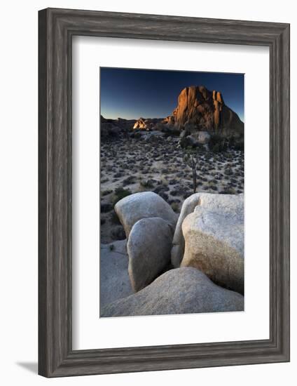 Landscape, Joshua Tree National Park, California, United States of America, North America-Colin Brynn-Framed Photographic Print