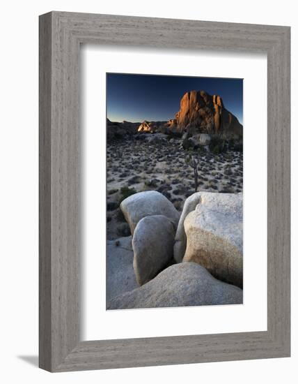 Landscape, Joshua Tree National Park, California, United States of America, North America-Colin Brynn-Framed Photographic Print