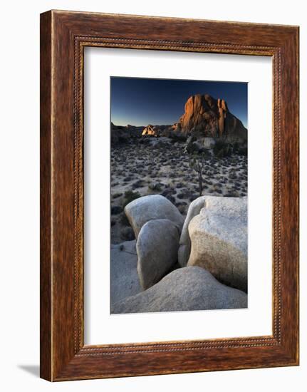 Landscape, Joshua Tree National Park, California, United States of America, North America-Colin Brynn-Framed Photographic Print