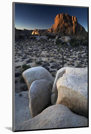 Landscape, Joshua Tree National Park, California, United States of America, North America-Colin Brynn-Mounted Photographic Print