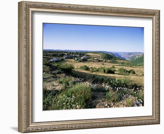 Landscape, Languedoc-Roussillon, France-David Hughes-Framed Photographic Print