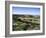 Landscape, Languedoc-Roussillon, France-David Hughes-Framed Photographic Print