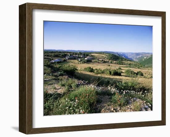 Landscape, Languedoc-Roussillon, France-David Hughes-Framed Photographic Print