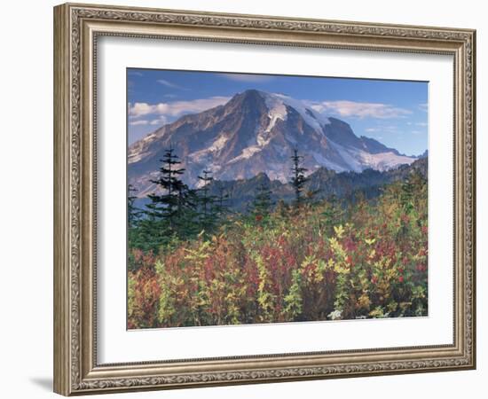 Landscape, Mount Rainier National Park, Washington State, United States of America, North America-Colin Brynn-Framed Photographic Print