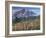 Landscape, Mount Rainier National Park, Washington State, United States of America, North America-Colin Brynn-Framed Photographic Print