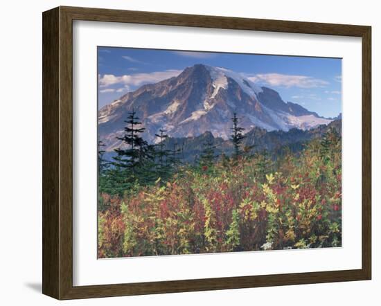 Landscape, Mount Rainier National Park, Washington State, United States of America, North America-Colin Brynn-Framed Photographic Print