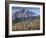 Landscape, Mount Rainier National Park, Washington State, United States of America, North America-Colin Brynn-Framed Photographic Print