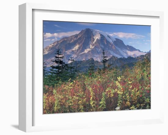 Landscape, Mount Rainier National Park, Washington State, United States of America, North America-Colin Brynn-Framed Photographic Print