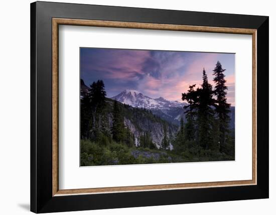 Landscape, Mount Rainier National Park, Washington State, United States of America, North America-Colin Brynn-Framed Photographic Print