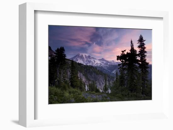 Landscape, Mount Rainier National Park, Washington State, United States of America, North America-Colin Brynn-Framed Photographic Print