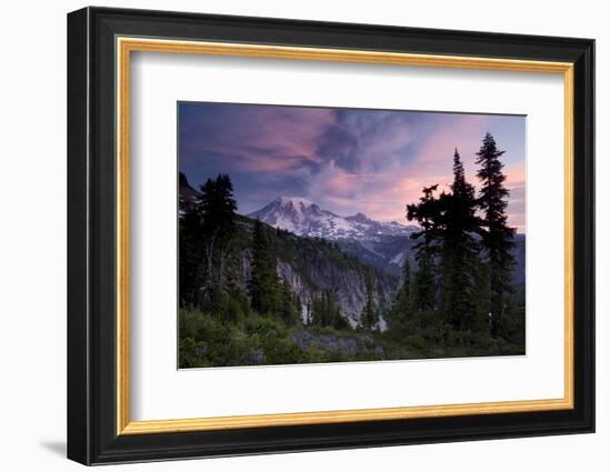 Landscape, Mount Rainier National Park, Washington State, United States of America, North America-Colin Brynn-Framed Photographic Print