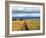 Landscape, Murchison Falls National Park, Uganda, East Africa-Ivan Vdovin-Framed Photographic Print