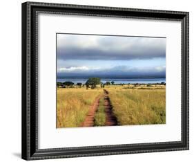 Landscape, Murchison Falls National Park, Uganda, East Africa-Ivan Vdovin-Framed Photographic Print
