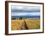 Landscape, Murchison Falls National Park, Uganda, East Africa-Ivan Vdovin-Framed Photographic Print