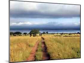 Landscape, Murchison Falls National Park, Uganda, East Africa-Ivan Vdovin-Mounted Photographic Print